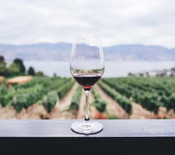 Chablis Premier Cru — 2020